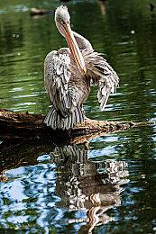 多人间谍游戏《欺骗公司》3月21日发售 登陆PC＆主机